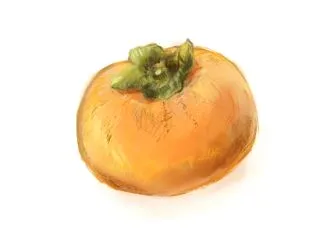 柿食べた