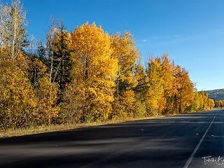 黄葉のHwy6