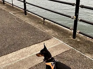 欲張りメンテナンスDAY