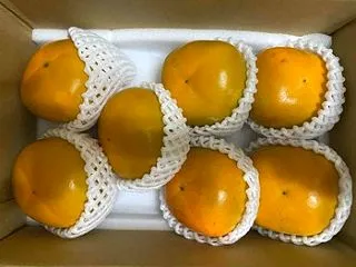 柿