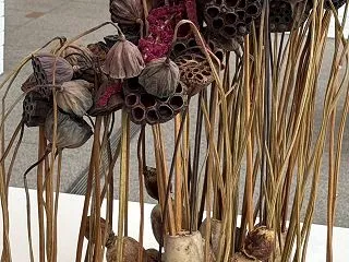私の中で一番 いけばな新進作家展2026…