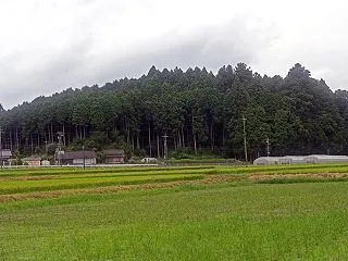 古宮城 - 日本100名城