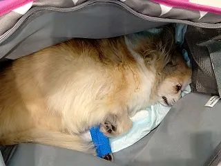 また痙攣が…。