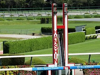 【体験談】阪神競馬場に行ってきた、開放感…