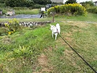 26/10/24（土）【台風３０号の影響…