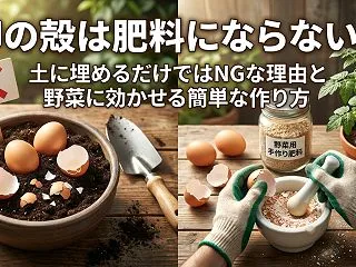 卵の殻は肥料にならない？土に埋めるだけで…