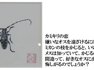 カミキリの恋