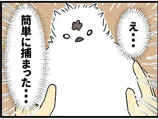 ニンゲンに捕まった子