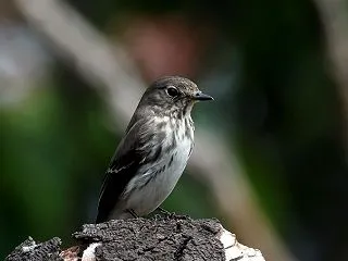 もう通過したかな ＾＾