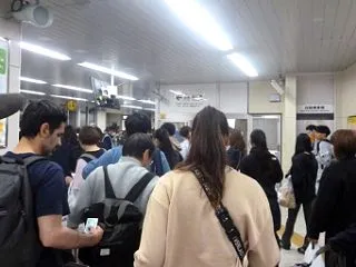 第51回 焼津海上花火大会 2026 焼…