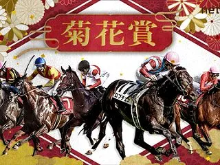 きよし的「菊花賞」の予想！！
