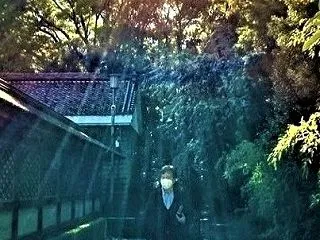 退気の隠された凄い力