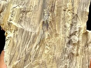 古代の叡智へのアクセス！マウントシャスタ…