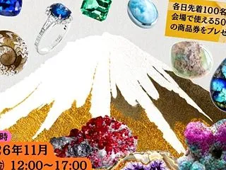 2026年11月出展