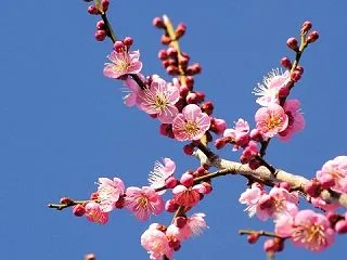 孤独の才望 第二話