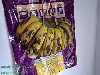 芽が出た玉ねぎを買ってしまった😅 帰りに…