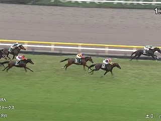 【アルテミスステークス2026】結果・動…
