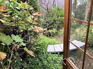 紅葉の降臨…