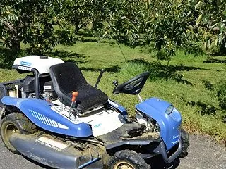 富有柿も色づきが始まってきました。（20…