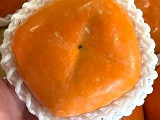 【2026年10月24日(土)】今週の岩…