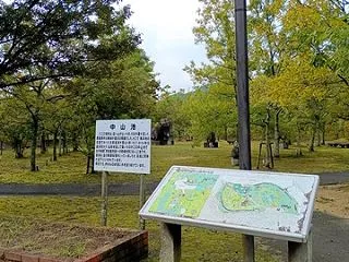 三間町中山池自然公園のコスモス