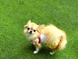 来てみて良かった。