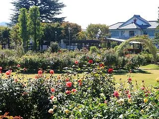 一本木公園 -3-
