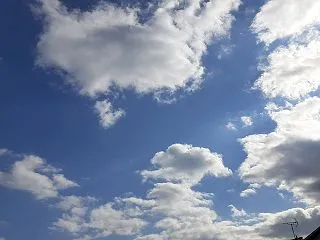 トイレに行く回数が減りました(*^^*)