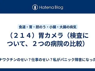 （２１４）胃カメラ（検査について、２つの…