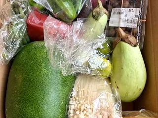 秋の食材 