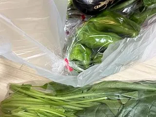 新鮮な野菜たち