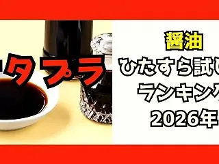 【サタプラ】醤油（しょうゆ）ひたすら試し…
