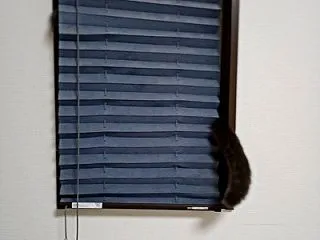 おまけ ⇒ 嬉しい･･･