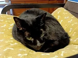 追悼