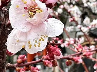★誰にも見せない一枚から、わたしの言葉を…