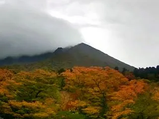 大山紅葉ツーリング断念