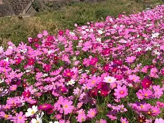 あれから(^ ^)