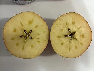 サンふじを輪切りにすると蜜が入ってました