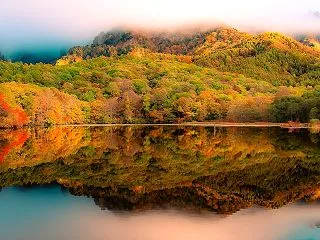 紅葉のリフレクション