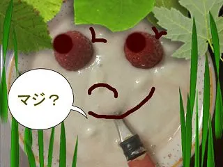 GMO お名前.com… ニュースはFX…