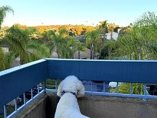 ダブルバースデーお祝いしましょ