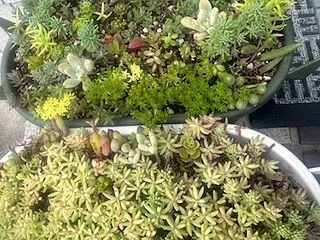 10月下旬、あっという間