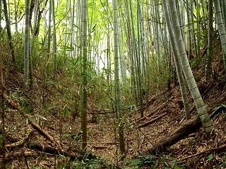 岩出山 丸山館