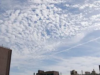 曇りちゃうんかぃ