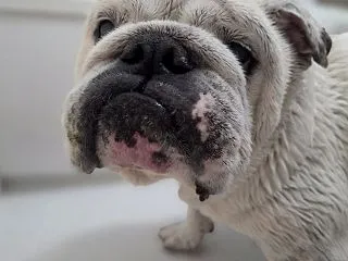 朝シャン♡