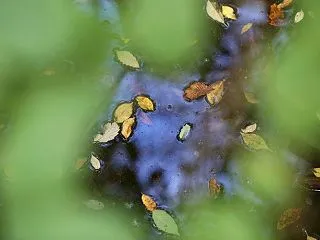 261024