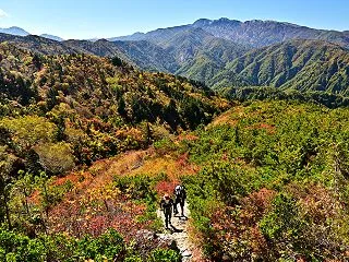 毎年恒例の紅葉トレッキングで訪れたのは、…