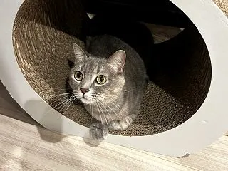 ちょっと撮影失敗