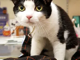 じゃ〜ん♪とおかんのひざに