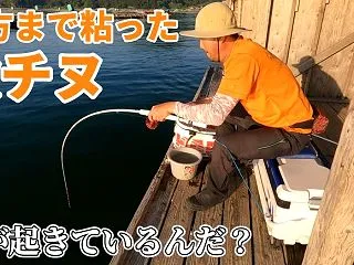 【かかり釣り】釣り客が全員帰った後にアタ…